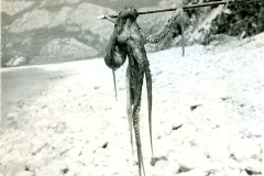 1969 Jugoslávie (4)