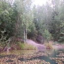 DSCN1766