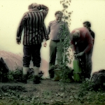 Březina-stavba boudy (5)