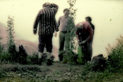 Březina-stavba boudy (5)