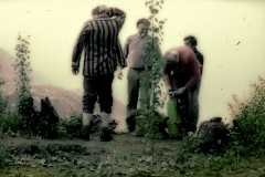 Březina-stavba boudy (5)