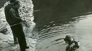 1965 Boršák(4)