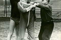 1965 Boršák(5)