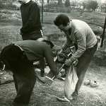 1965 Boršák(7)