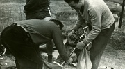 1965 Boršák(7)