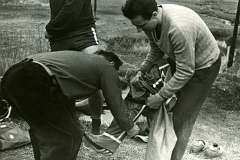 1965 Boršák(7)