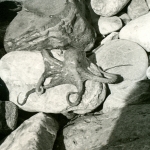 1969 Jugoslávie (2)