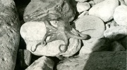 1969 Jugoslávie (2)
