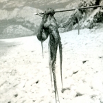 1969 Jugoslávie (4)