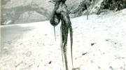 1969 Jugoslávie (4)