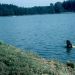 Křetinka 1986 (19)