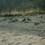 Křetinka 1986 (7)
