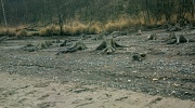 Křetinka 1986 (7)