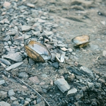 Křetinka 1986 (8)