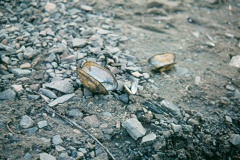 Křetinka 1986 (8)