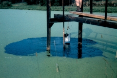 Křetinka 1986 (21)