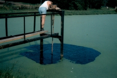 Křetinka 1986 (23)