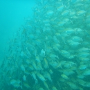 DSCN2947