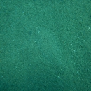 DSCN2950