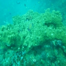 DSCN2954