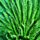 DSCN2985