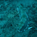 DSCN3070