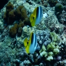DSCN3133