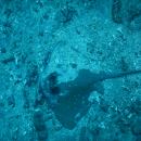 DSCN3172