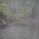 DSCN3351