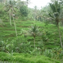 P1050880