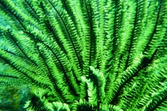 DSCN2985