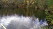 IMG_20211106_114716_9
