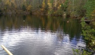 IMG_20211106_114716_9