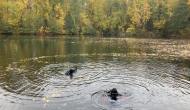 IMG-20221023-WA0006