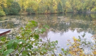 IMG_20221022_101212