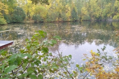 IMG_20221022_101212