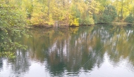IMG_20221022_121435