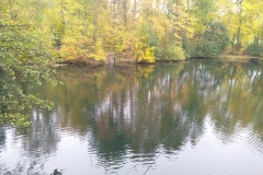 IMG_20221022_121435