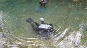 IMG_20201006_122103