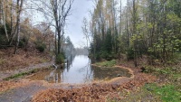 20191109_092653