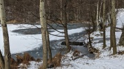 zPXL_20211227_114830372-1