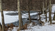 zPXL_20211227_114830372-1
