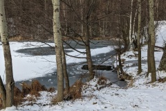 zPXL_20211227_114830372-1