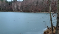 20181230_100559