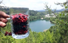 Březina 4.-7.7.2013