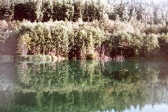 Brezina-1
