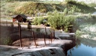 Brezina-10