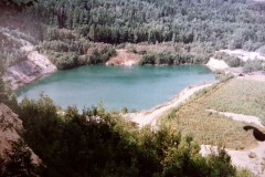Brezina-4