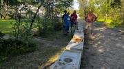 IMG-20240515-WA0003