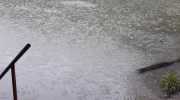 IMG-20200629-WA0003